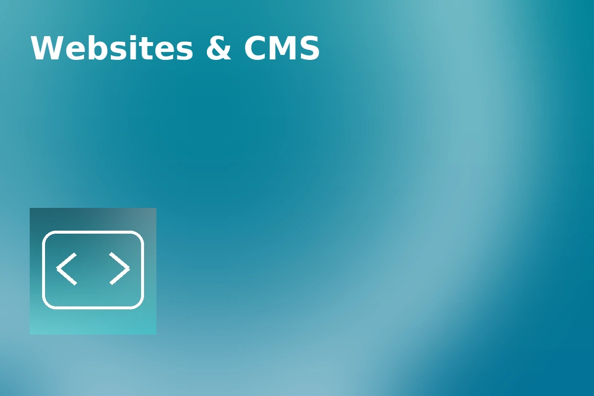 Custom Websites